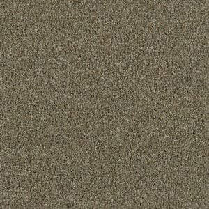 Dreamweaver Carpet Acclaim Cinnamon Tea Carpet 1324_528