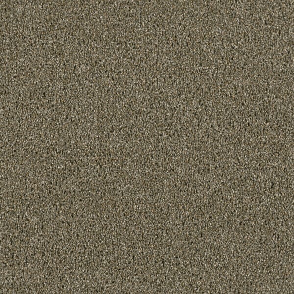Dreamweaver Carpet Acclaim Cinnamon Tea Carpet 1324_528