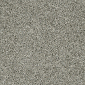 Dreamweaver Carpet Acclaim Looking Glass Carpet 1324_570