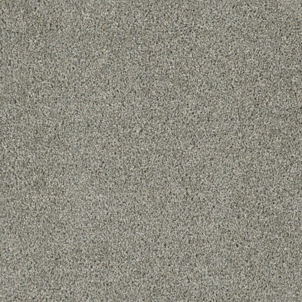 Dreamweaver Carpet Acclaim Looking Glass Carpet 1324_570