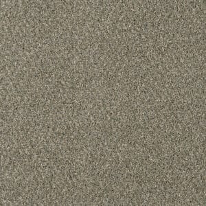 Dreamweaver Carpet Acclaim Smooth Sailing Carpet 1324_641