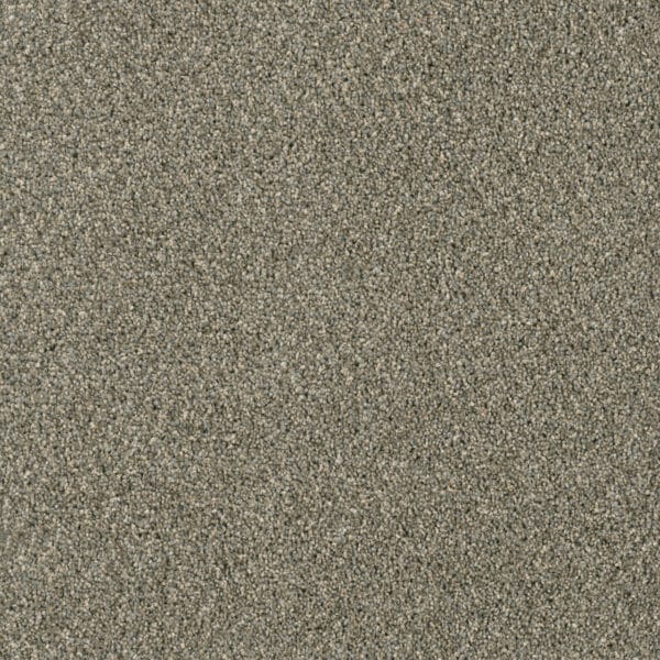 Dreamweaver Carpet Acclaim Smooth Sailing Carpet 1324_641
