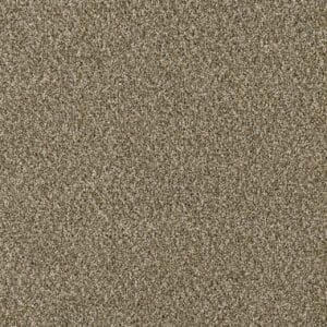 Dreamweaver Carpet Acclaim Sienna Sand Carpet 1324_680