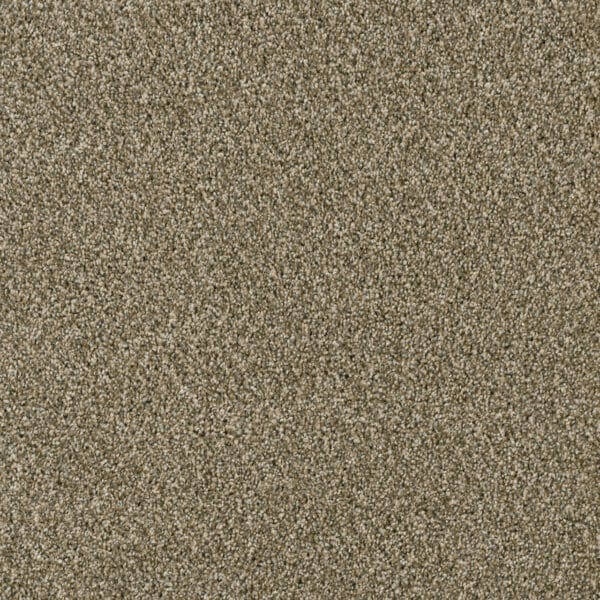 Dreamweaver Carpet Acclaim Sienna Sand Carpet 1324_680
