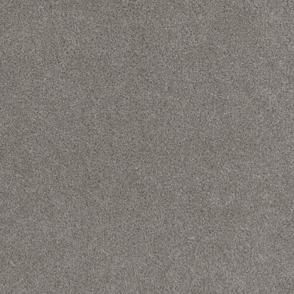 Dreamweaver Carpet Beach Club I Calypso Carpet 1325_2802