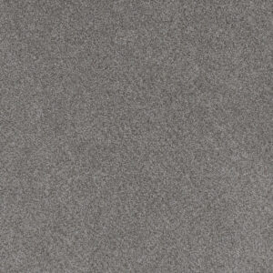 Dreamweaver Carpet Beach Club I Palazzo Carpet 1325_4008