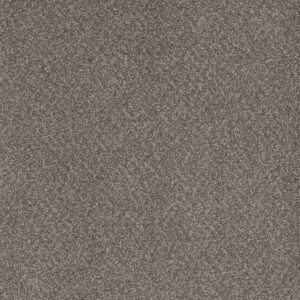 Dreamweaver Carpet Beach Club I Encore Carpet 1325_4094