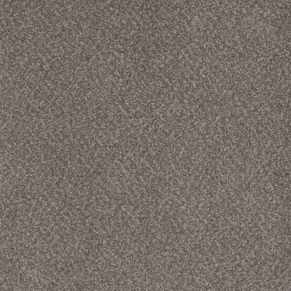 Dreamweaver Carpet Beach Club I Encore Carpet 1325_4094