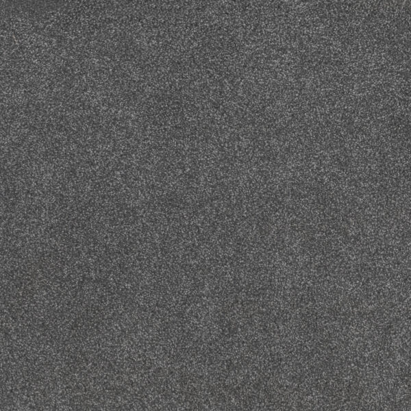 Dreamweaver Carpet Beach Club I Admiral Carpet 1325_4109