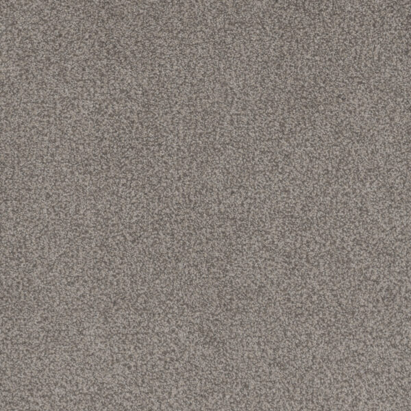 Dreamweaver Carpet Beach Club I Pique Carpet 1325_4189
