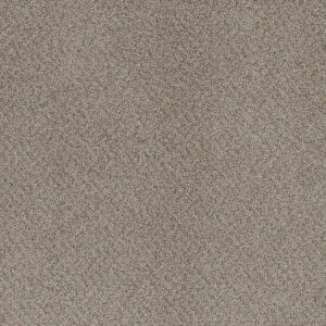 Dreamweaver Carpet Beach Club I Sahara Carpet 1325_4269