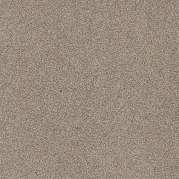 Dreamweaver Carpet Beach Club I Haystack Carpet 1325_4285