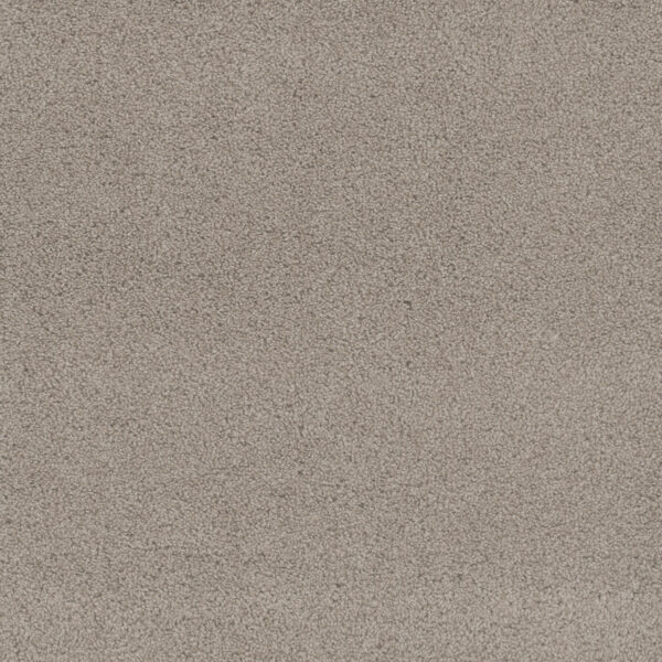 Dreamweaver Carpet Beach Club I Pale Sunshine Carpet 1325_4290