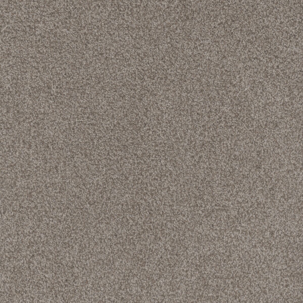 Dreamweaver Carpet Beach Club I Roman Carpet 1325_4345
