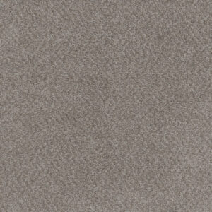 Dreamweaver Carpet Beach Club I Spanish Moss Carpet 1325_4379