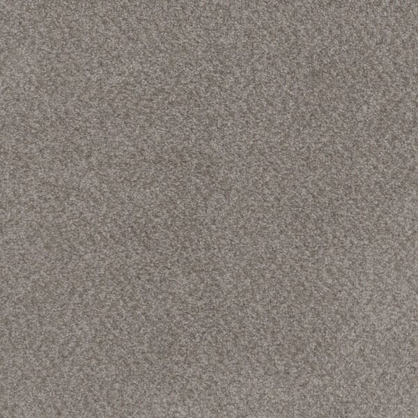Dreamweaver Carpet Beach Club I Spanish Moss Carpet 1325_4379