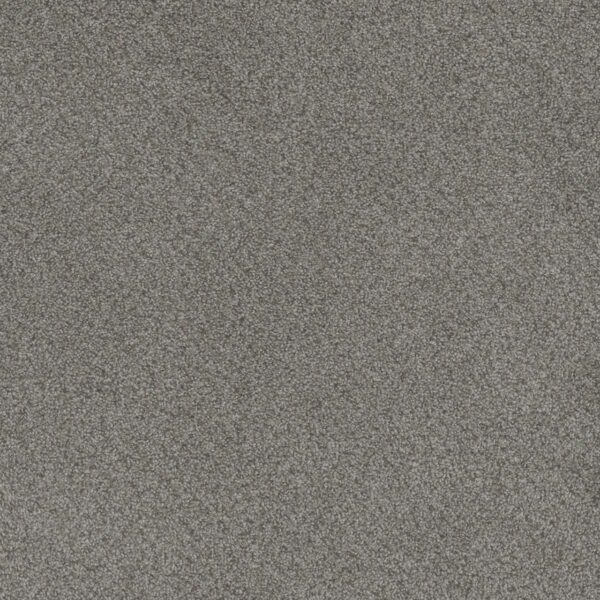 Dreamweaver Carpet Beach Club I Aria Carpet 1325_4433