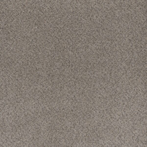 Dreamweaver Carpet Beach Club I Canyon Carpet 1325_4470