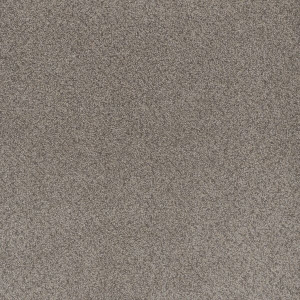Dreamweaver Carpet Beach Club I Canyon Carpet 1325_4470