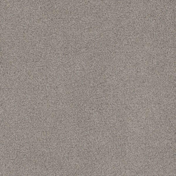 Dreamweaver Carpet Beach Club I Garden Hedge Carpet 1325_4630
