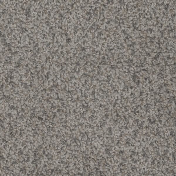Dreamweaver Carpet Step Up Carbon Crystals Carpet 1420_225