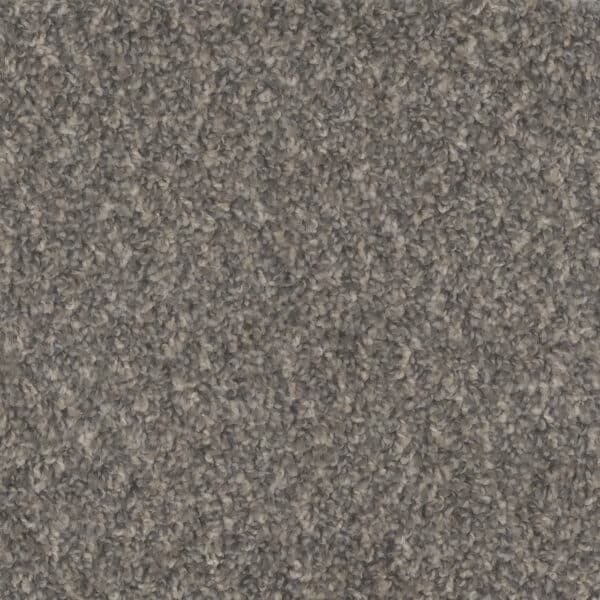 Dreamweaver Carpet Step Up Belle Grove Carpet 1420_328