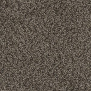 Dreamweaver Carpet Step Up Rustic Charm Carpet 1420_383
