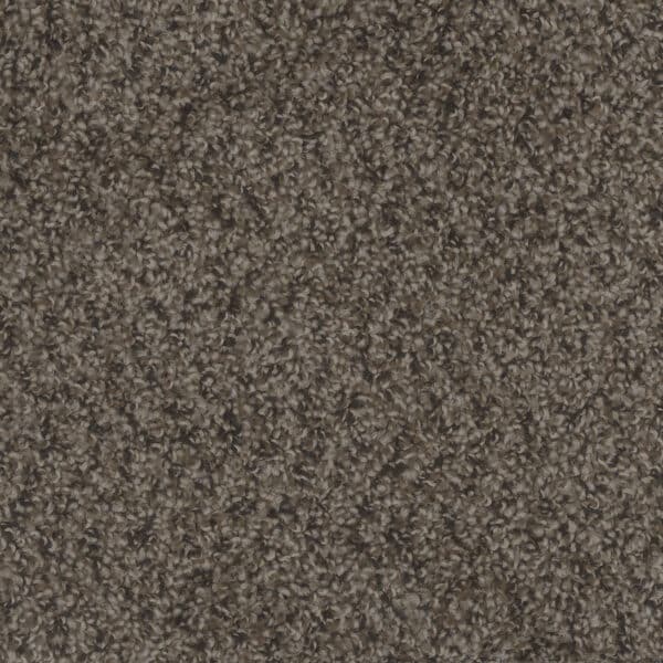 Dreamweaver Carpet Step Up Rustic Charm Carpet 1420_383