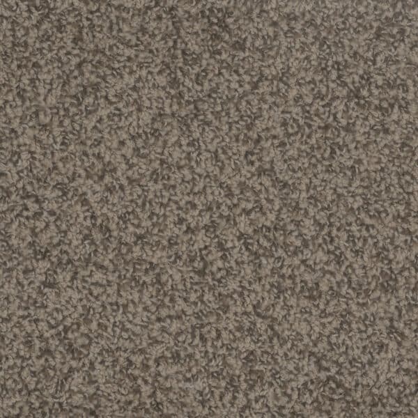 Dreamweaver Carpet Step Up Agate Carpet 1420_512
