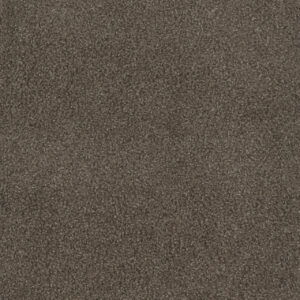 Dreamweaver Carpet Step Up Boulder Carpet 1420_552