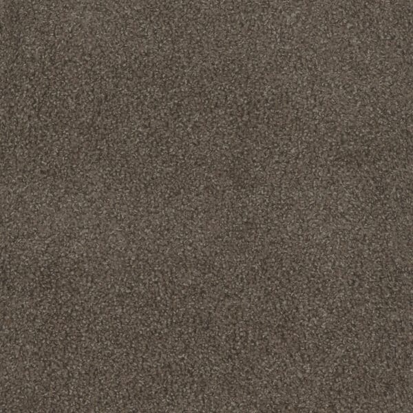 Dreamweaver Carpet Step Up Boulder Carpet 1420_552