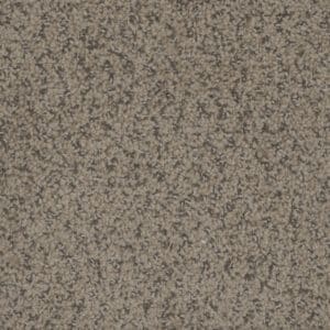 Dreamweaver Carpet Step Up Fawn Carpet 1420_759