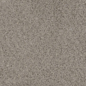Dreamweaver Carpet Step Up Almond Carpet 1420_782