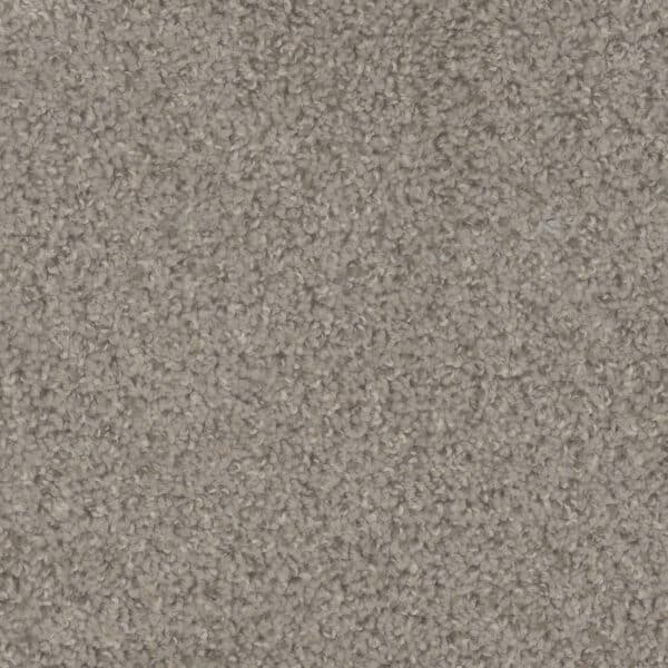 Dreamweaver Carpet Step Up Almond Carpet 1420_782