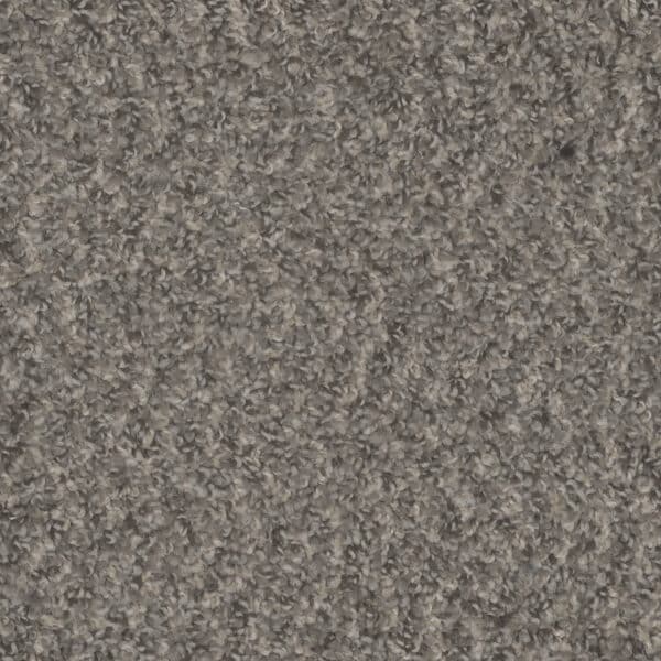 Dreamweaver Carpet Step Up Ironside Carpet 1420_783