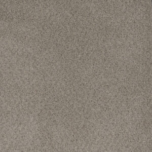 Dreamweaver Carpet Step Up Cinder Carpet 1420_835