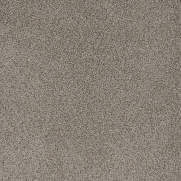 Dreamweaver Carpet Step Up Cinder Carpet 1420_835