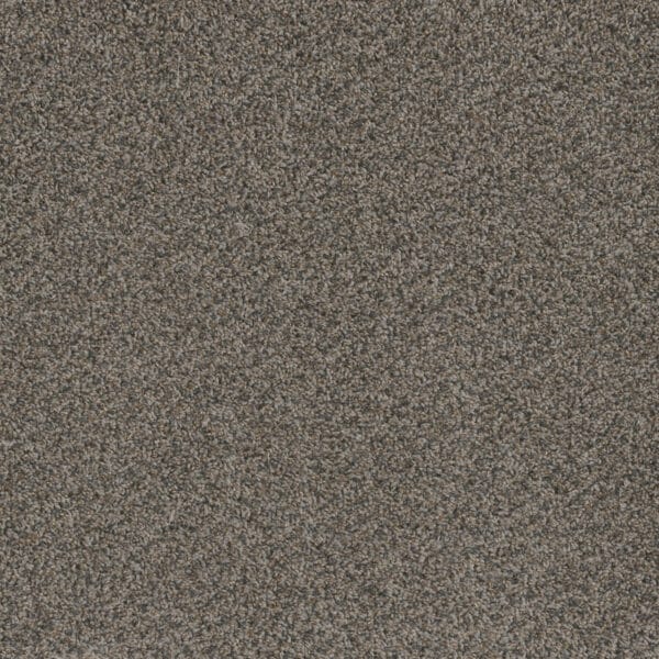 Dreamweaver Carpet Hot Pursuit Carbon Crystals Carpet 1424_255