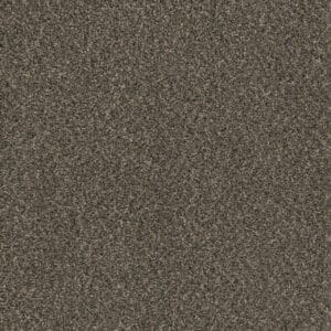 Dreamweaver Carpet Hot Pursuit Belle Grove Carpet 1424_328