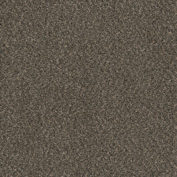 Dreamweaver Carpet Hot Pursuit Belle Grove Carpet 1424_328
