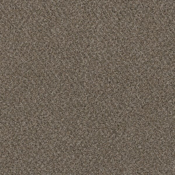 Dreamweaver Carpet Hot Pursuit Desert Jasper Carpet 1424_339