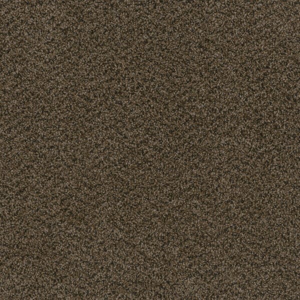 Dreamweaver Carpet Hot Pursuit Rustic Charm Carpet 1424_383
