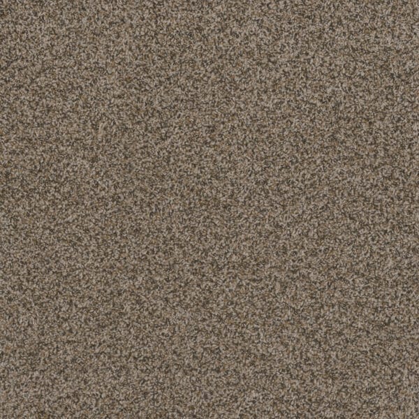Dreamweaver Carpet Hot Pursuit Gingerbread Carpet 1424_390