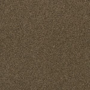 Dreamweaver Carpet Hot Pursuit Agate Carpet 1424_512