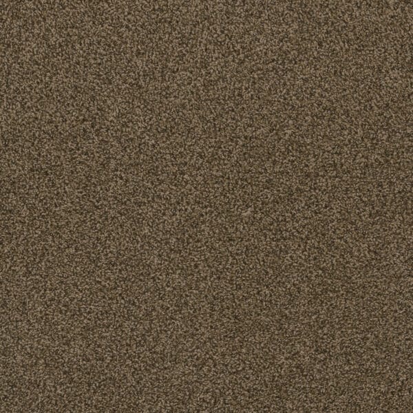 Dreamweaver Carpet Hot Pursuit Agate Carpet 1424_512