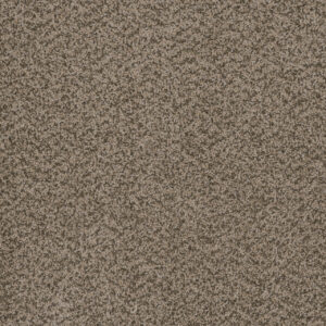 Dreamweaver Carpet Hot Pursuit Crystal Carpet 1424_537