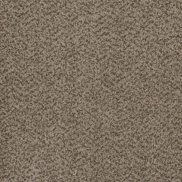 Dreamweaver Carpet Hot Pursuit Crystal Carpet 1424_537