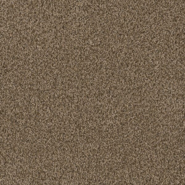 Dreamweaver Carpet Hot Pursuit Shimmer Carpet 1424_711