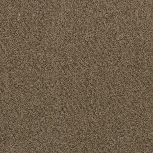 Dreamweaver Carpet Hot Pursuit Fawn Carpet 1424_759