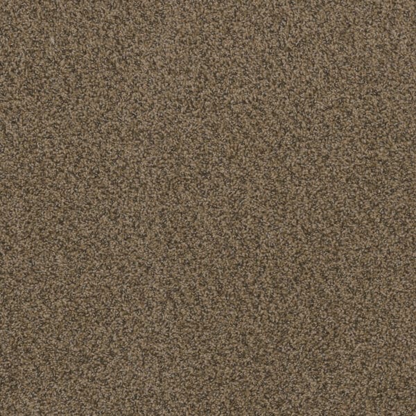 Dreamweaver Carpet Hot Pursuit Fawn Carpet 1424_759